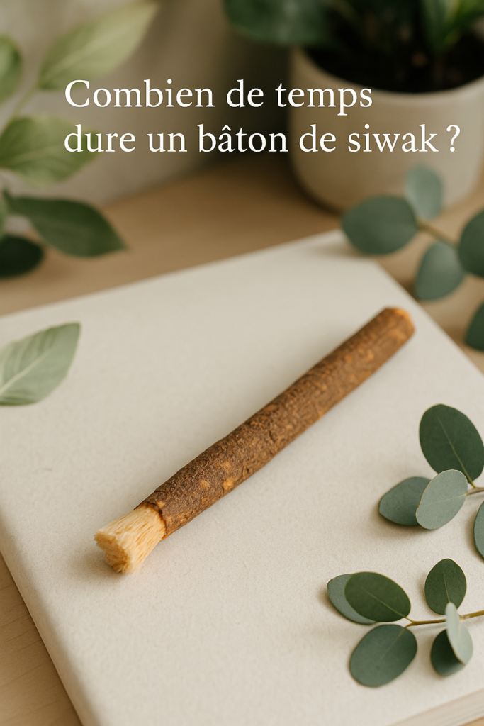 combien de temps dure un baton de siwak